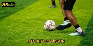 Kèo Nhà Cái 85win: Cập Nhật Tỷ Lệ Chuẩn Xác Mỗi Ngày