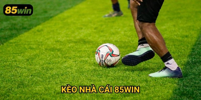 Kèo Nhà Cái 85win: Cập Nhật Tỷ Lệ Chuẩn Xác Mỗi Ngày