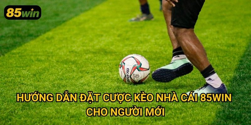 Kèo Nhà Cái 85win: Cập Nhật Tỷ Lệ Chuẩn Xác Mỗi Ngày 3 Hướng dẫn đặt cược kèo nhà cái 85win cho người mới