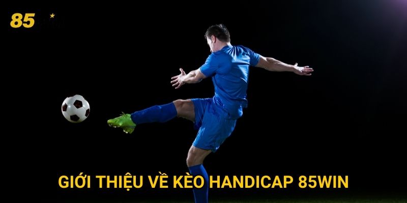 Giới thiệu về kèo handicap 85win