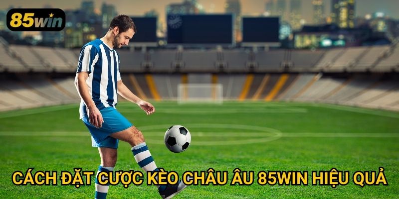 Cách đặt cược kèo châu Âu 85win hiệu quả