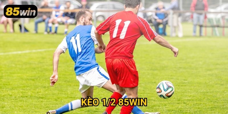 Kèo 1/2 85win: Cách Đọc Tỷ Lệ Và Đặt Cược Chính Xác