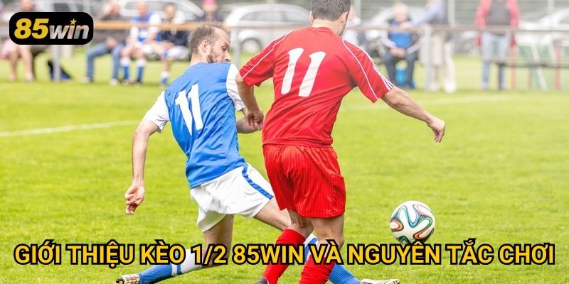 Kèo 1/2 85win: Cách Đọc Tỷ Lệ Và Đặt Cược Chính Xác 2 Giới thiệu kèo 1/2 85win và nguyên tắc chơi