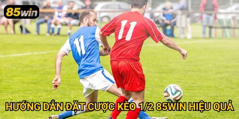 Kèo 1/2 85win: Cách Đọc Tỷ Lệ Và Đặt Cược Chính Xác 3 Hướng dẫn đặt cược kèo 1/2 85win hiệu quả