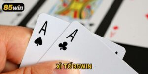 Xì Tố 85win: Kinh Nghiệm Đánh Bại Mọi Đối Thủ Dễ Dàng