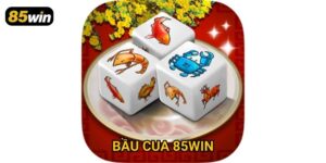 Bầu Cua 85win: Hướng Dẫn Chơi Và Mẹo Dự Đoán Chuẩn Xác