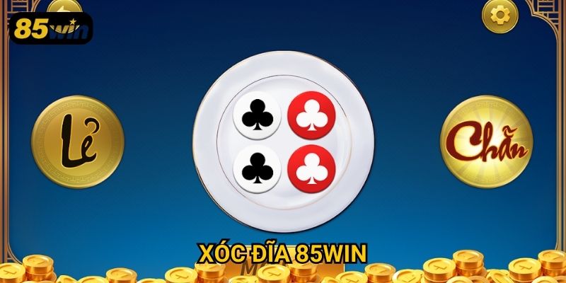 Xóc Đĩa 85win: Bí Quyết Dự Đoán Kết Quả Và Đặt Cược Hiệu Quả