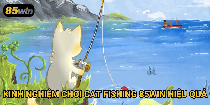 Cat Fishing 85win: Tựa Game Bắn Cá Đầy Thử Thách Hấp Dẫn 3 Kinh nghiệm chơi cat fishing 85win hiệu quả