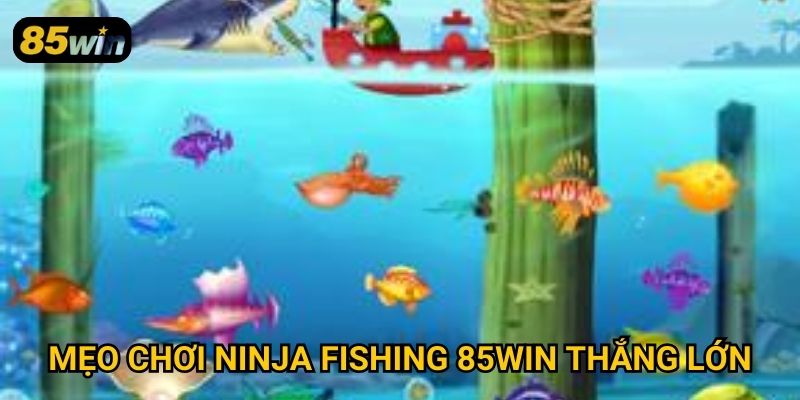 Ninja Fishing 85win: Trải Nghiệm Câu Cá Kết Hợp Hành Động Độc Đáo 3 Mẹo chơi ninja fishing 85win thắng lớn